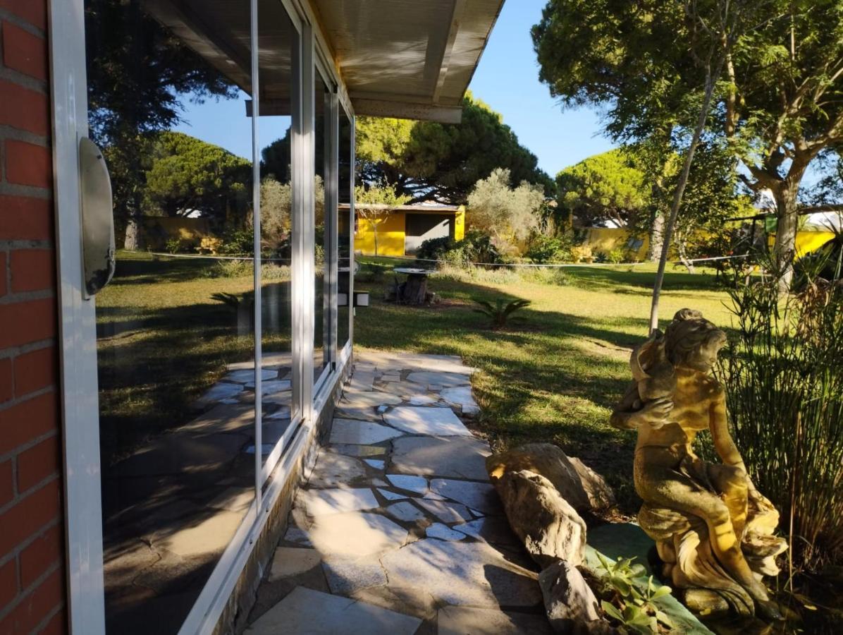 Apartamento Jacaranda Cádiz Exterior foto