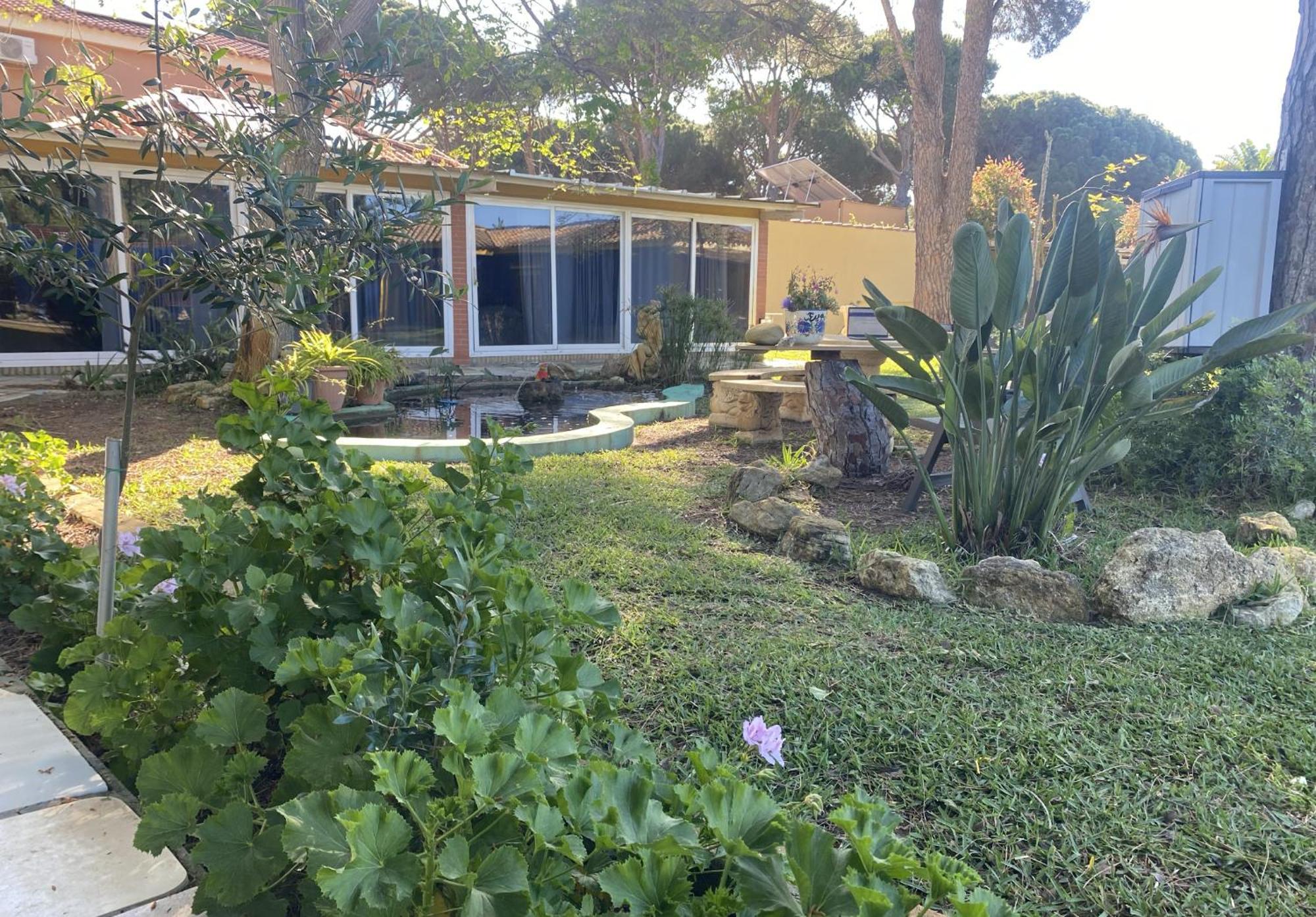 Apartamento Jacaranda Cádiz Exterior foto